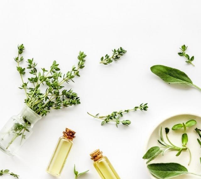 Ziołowo-naturalna regeneracja skóry po zimie z marką SYLVECO