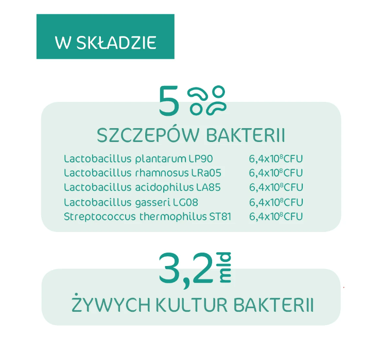 ZiNIQ Probiotyk + prebiotyk, 20 kapsułek